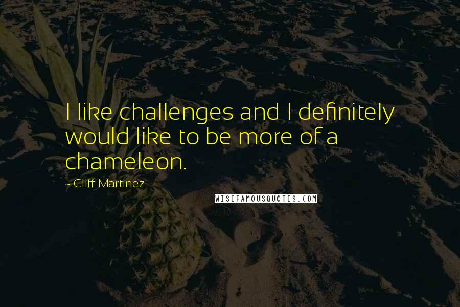 Cliff Martinez Quotes: I like challenges and I definitely would like to be more of a chameleon.