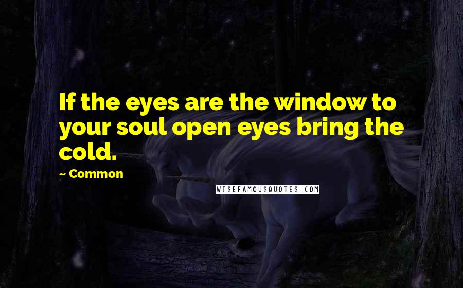 Common Quotes: If the eyes are the window to your soul open eyes bring the cold.