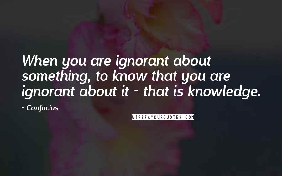 Confucius Quotes: When you are ignorant about something, to know that you are ignorant about it - that is knowledge.