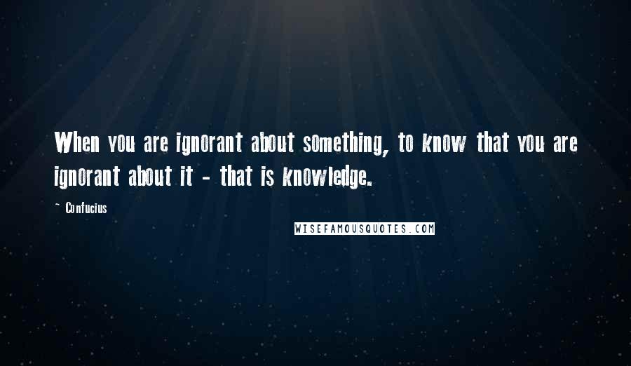 Confucius Quotes: When you are ignorant about something, to know that you are ignorant about it - that is knowledge.