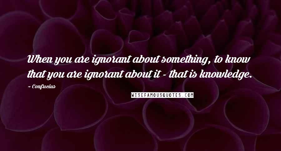 Confucius Quotes: When you are ignorant about something, to know that you are ignorant about it - that is knowledge.