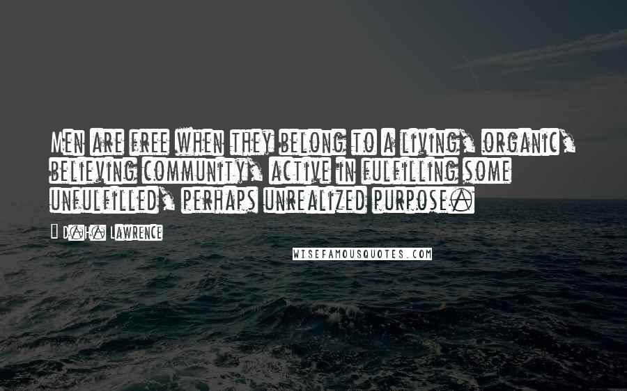 D.H. Lawrence Quotes: Men are free when they belong to a living, organic, believing community, active in fulfilling some unfulfilled, perhaps unrealized purpose.