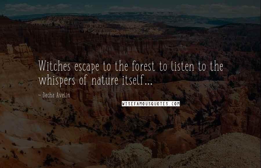 Dacha Avelin Quotes: Witches escape to the forest to listen to the whispers of nature itself...