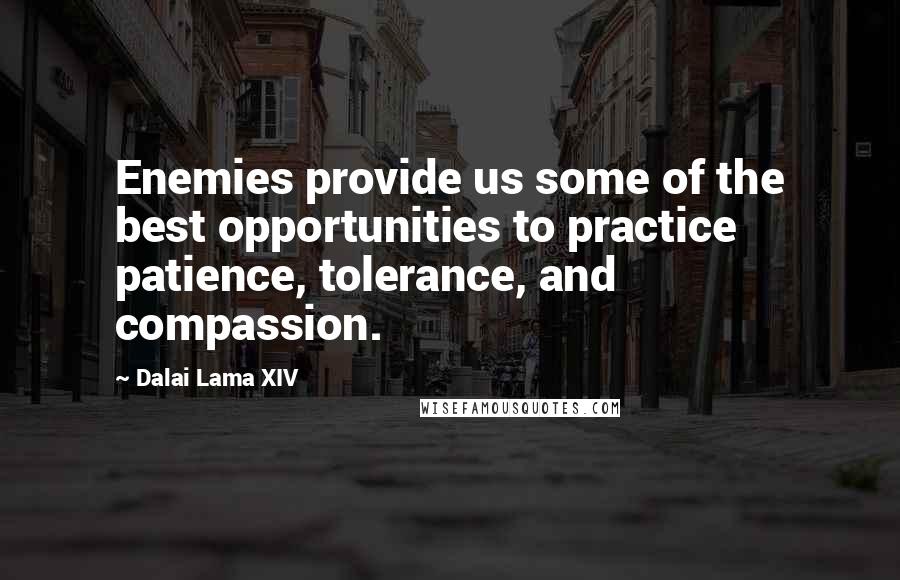 Dalai Lama XIV Quotes: Enemies provide us some of the best opportunities to practice patience, tolerance, and compassion.