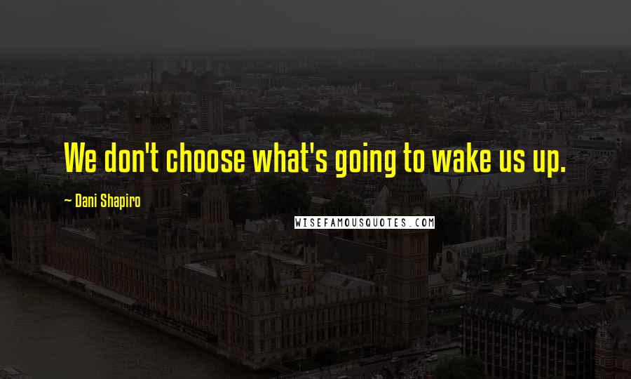 Dani Shapiro Quotes: We don't choose what's going to wake us up.