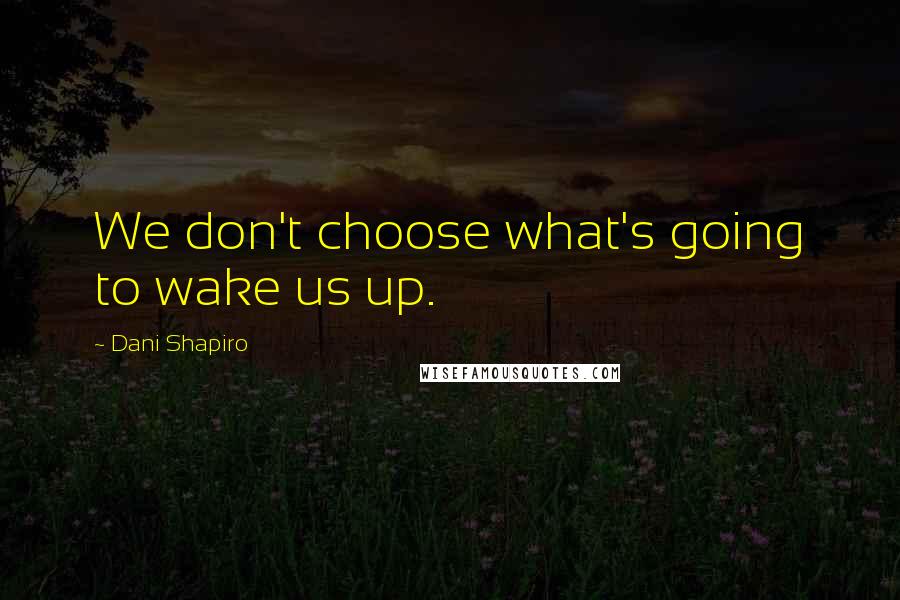 Dani Shapiro Quotes: We don't choose what's going to wake us up.