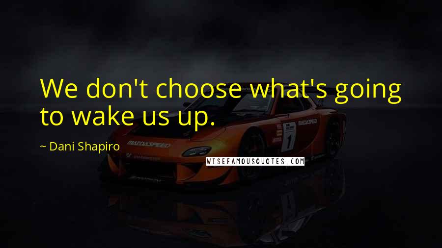 Dani Shapiro Quotes: We don't choose what's going to wake us up.