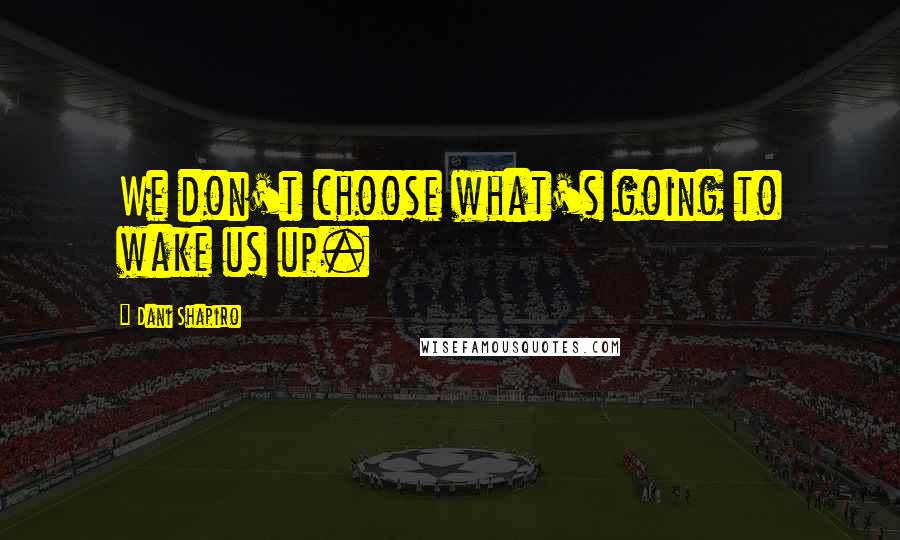 Dani Shapiro Quotes: We don't choose what's going to wake us up.