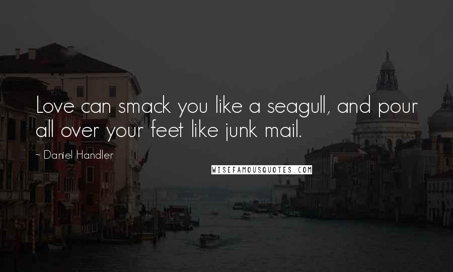 Daniel Handler Quotes: Love can smack you like a seagull, and pour all over your feet like junk mail.