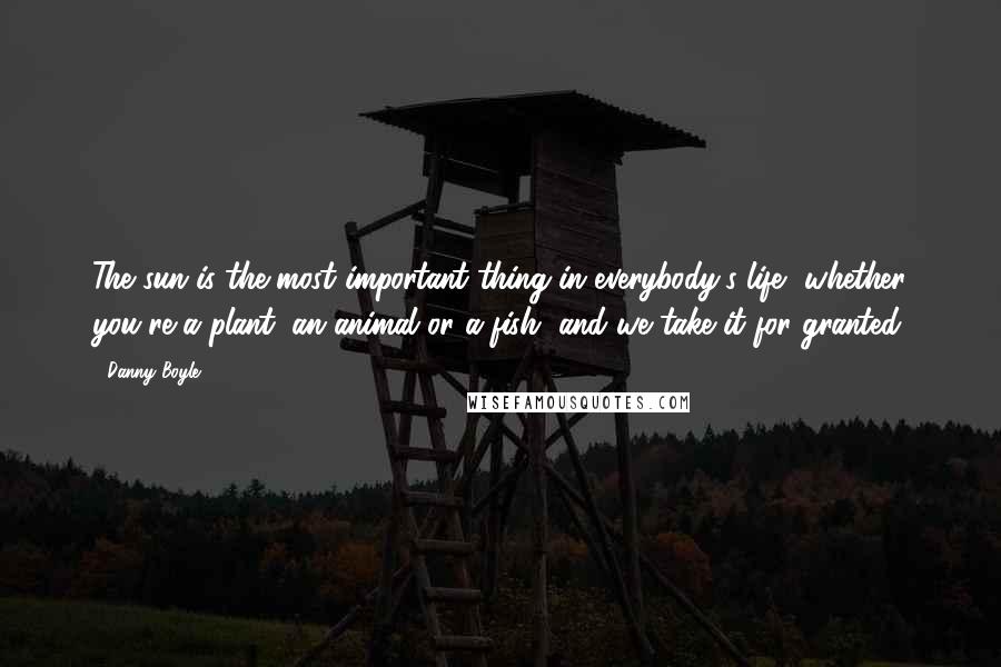 Danny Boyle Quotes: The sun is the most important thing in everybody's life, whether you're a plant, an animal or a fish, and we take it for granted.