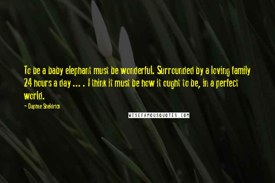 Daphne Sheldrick Quotes: To be a baby elephant must be wonderful. Surrounded by a loving family 24 hours a day ... . I think it must be how it ought to be, in a perfect world.