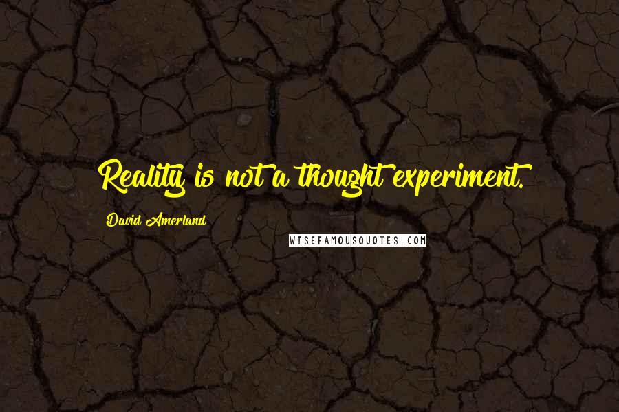 David Amerland Quotes: Reality is not a thought experiment.