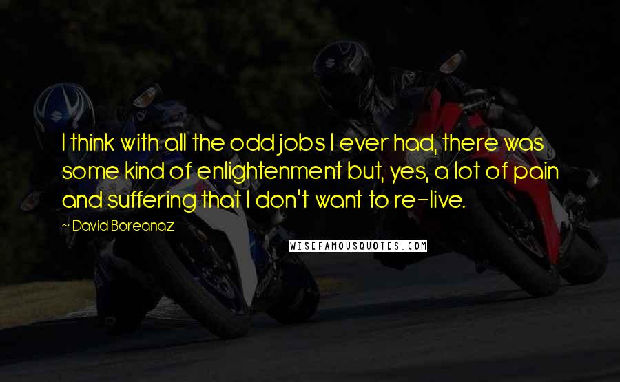 David Boreanaz Quotes: I think with all the odd jobs I ever had, there was some kind of enlightenment but, yes, a lot of pain and suffering that I don't want to re-live.