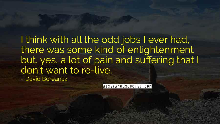 David Boreanaz Quotes: I think with all the odd jobs I ever had, there was some kind of enlightenment but, yes, a lot of pain and suffering that I don't want to re-live.