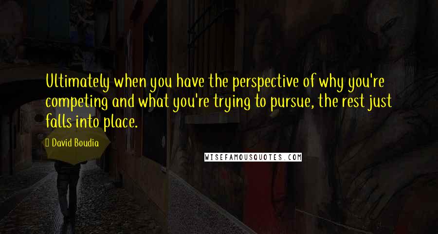 David Boudia Quotes: Ultimately when you have the perspective of why you're competing and what you're trying to pursue, the rest just falls into place.