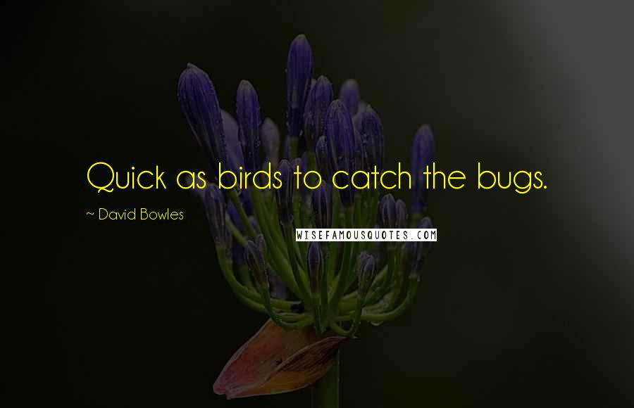 David Bowles Quotes: Quick as birds to catch the bugs.