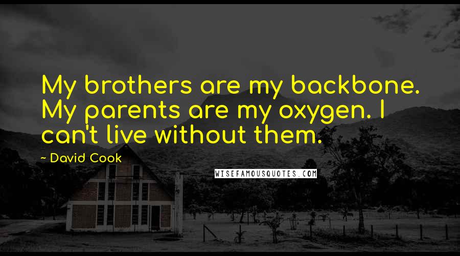 David Cook Quotes: My brothers are my backbone. My parents are my oxygen. I can't live without them.