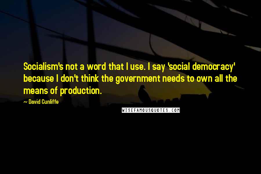 David Cunliffe Quotes: Socialism's not a word that I use. I say 'social democracy' because I don't think the government needs to own all the means of production.