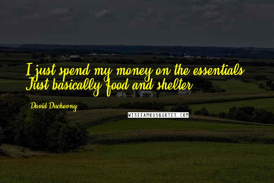 David Duchovny Quotes: I just spend my money on the essentials. Just basically food and shelter.