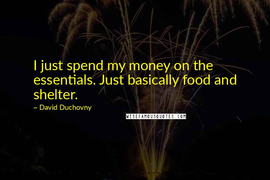 David Duchovny Quotes: I just spend my money on the essentials. Just basically food and shelter.