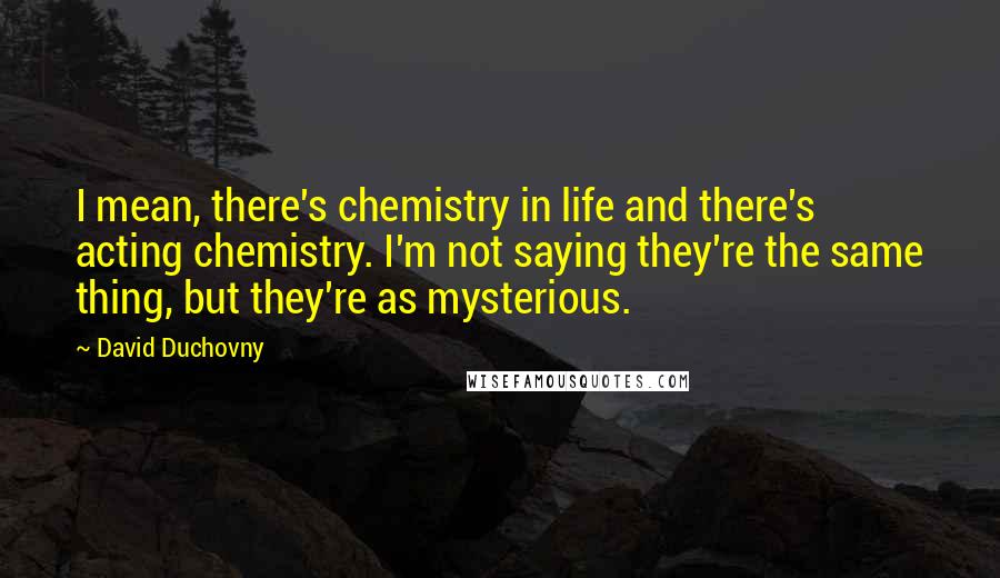 David Duchovny Quotes: I mean, there's chemistry in life and there's acting chemistry. I'm not saying they're the same thing, but they're as mysterious.