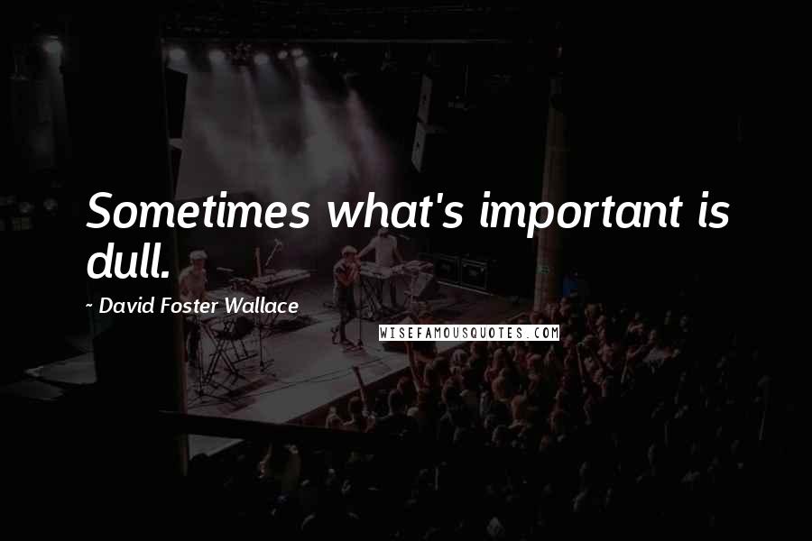 David Foster Wallace Quotes: Sometimes what's important is dull.