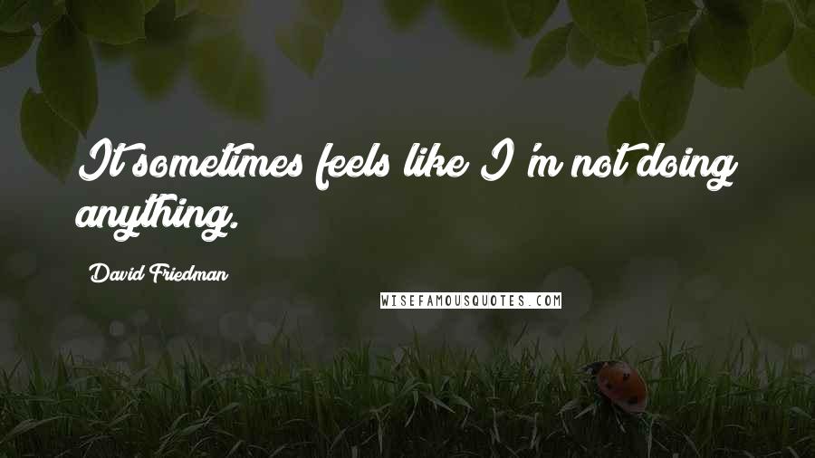 David Friedman Quotes: It sometimes feels like I'm not doing anything.