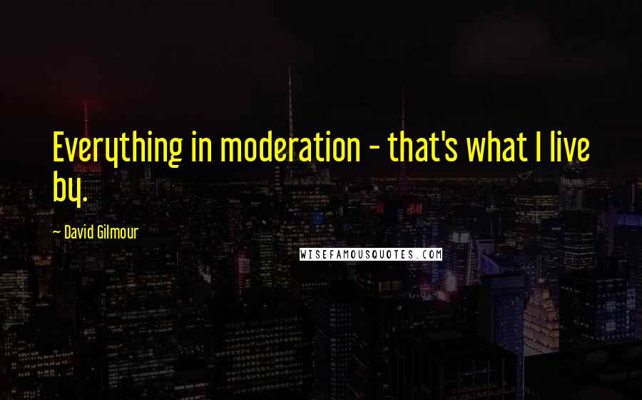 David Gilmour Quotes: Everything in moderation - that's what I live by.