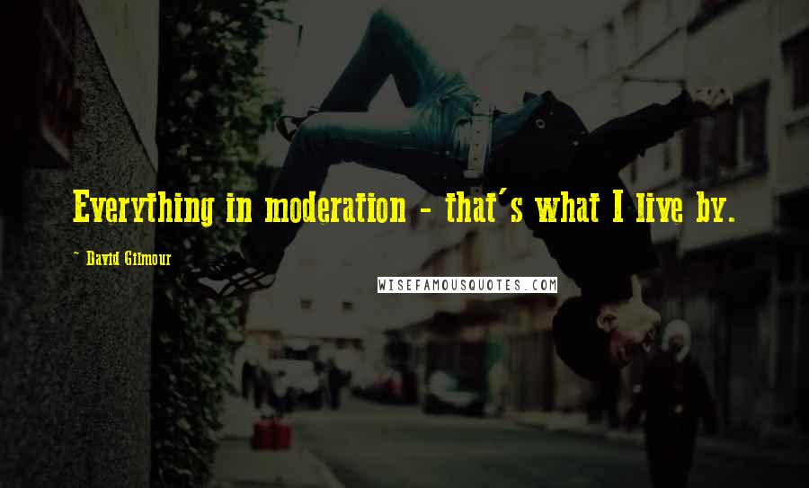 David Gilmour Quotes: Everything in moderation - that's what I live by.