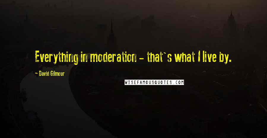 David Gilmour Quotes: Everything in moderation - that's what I live by.