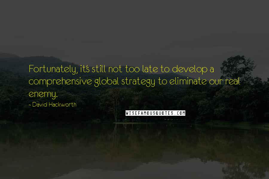 David Hackworth Quotes: Fortunately, it's still not too late to develop a comprehensive global strategy to eliminate our real enemy.