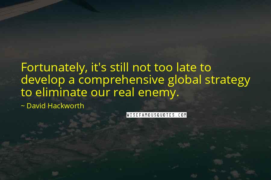 David Hackworth Quotes: Fortunately, it's still not too late to develop a comprehensive global strategy to eliminate our real enemy.