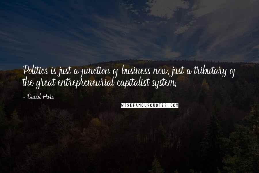 David Hare Quotes: Politics is just a function of business now, just a tributary of the great entrepreneurial capitalist system.