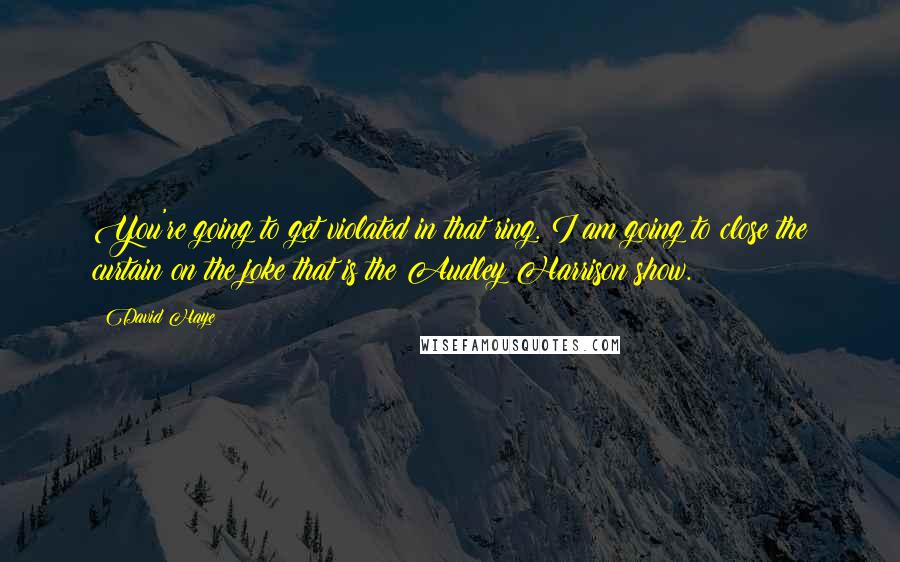 David Haye Quotes: You're going to get violated in that ring. I am going to close the curtain on the joke that is the Audley Harrison show.