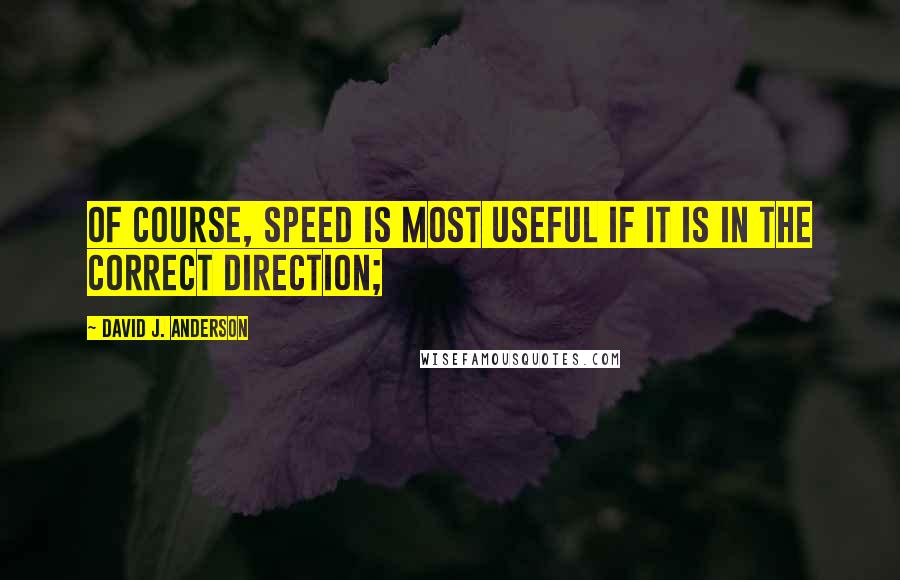 David J. Anderson Quotes: Of course, speed is most useful if it is in the correct direction;