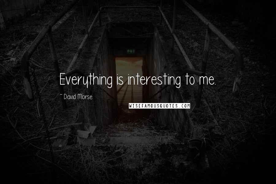 David Morse Quotes: Everything is interesting to me.