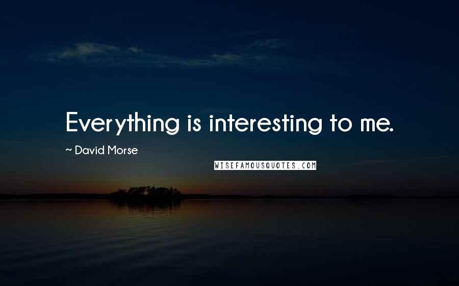 David Morse Quotes: Everything is interesting to me.