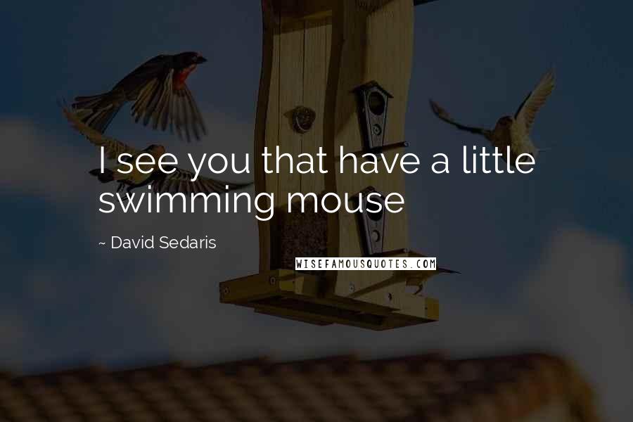 David Sedaris Quotes: I see you that have a little swimming mouse