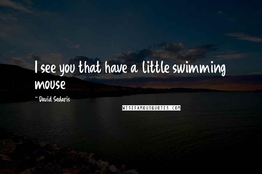 David Sedaris Quotes: I see you that have a little swimming mouse