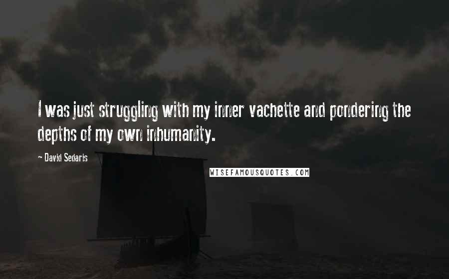 David Sedaris Quotes: I was just struggling with my inner vachette and pondering the depths of my own inhumanity.