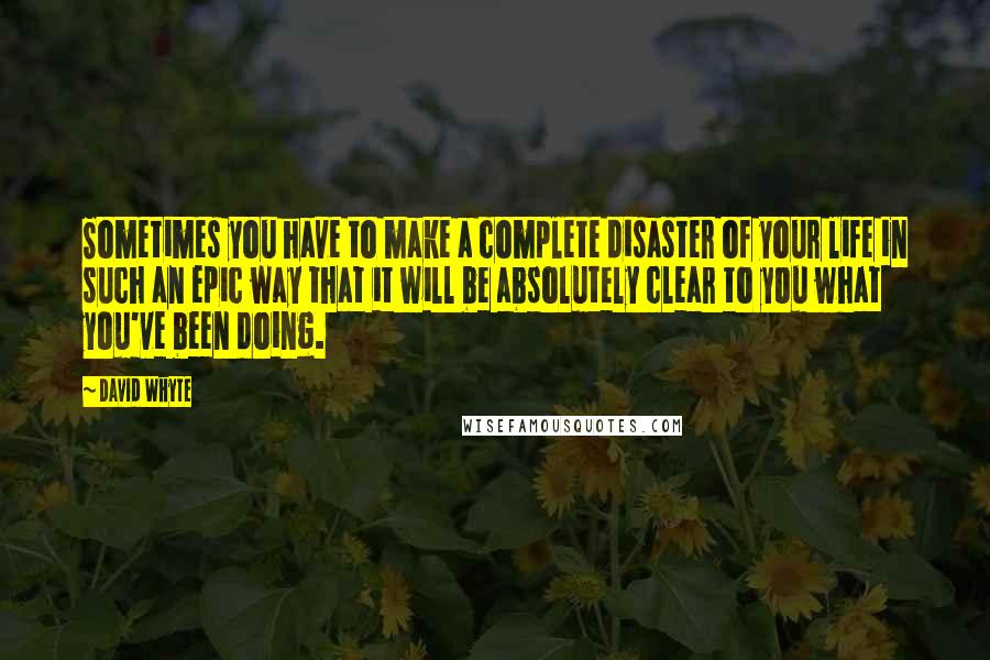 David Whyte Quotes: Sometimes you have to make a complete disaster of your life in such an epic way that it will be absolutely clear to you what you've been doing.