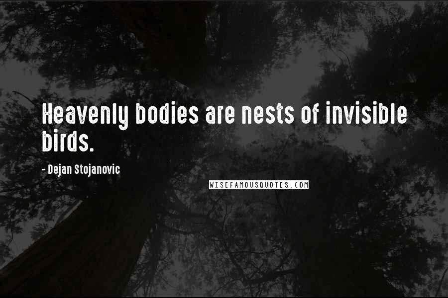 Dejan Stojanovic Quotes: Heavenly bodies are nests of invisible birds.