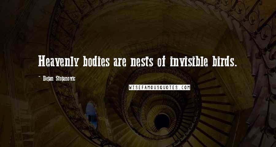 Dejan Stojanovic Quotes: Heavenly bodies are nests of invisible birds.