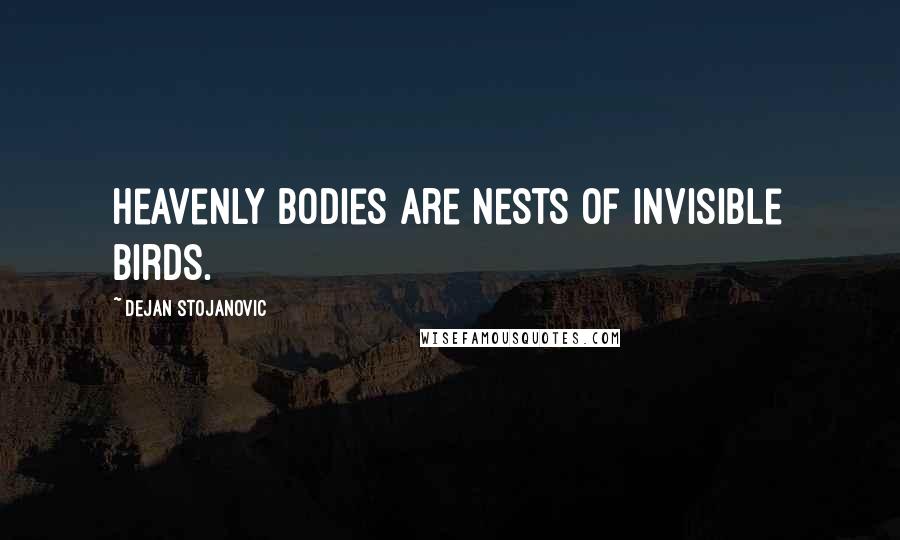 Dejan Stojanovic Quotes: Heavenly bodies are nests of invisible birds.