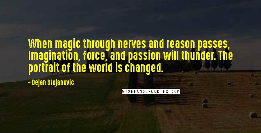 Dejan Stojanovic Quotes: When magic through nerves and reason passes, Imagination, force, and passion will thunder. The portrait of the world is changed.