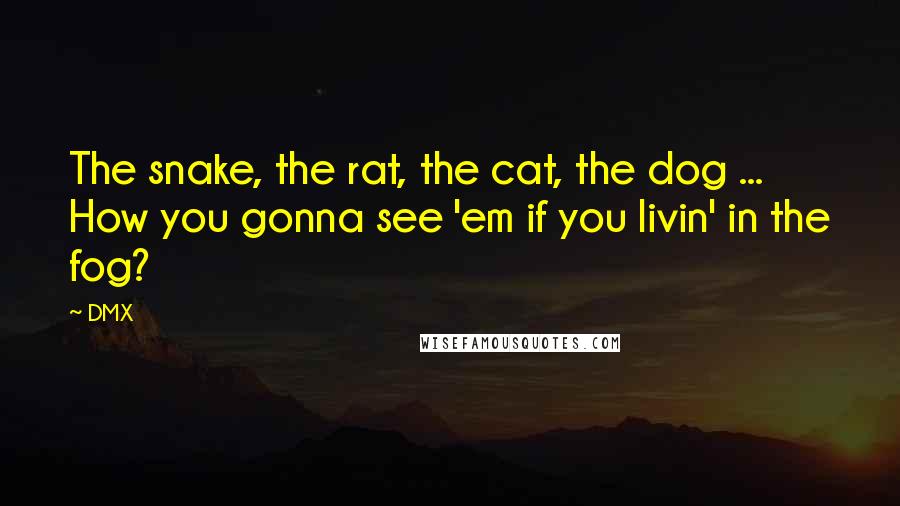 DMX Quotes: The snake, the rat, the cat, the dog ... How you gonna see 'em if you livin' in the fog?