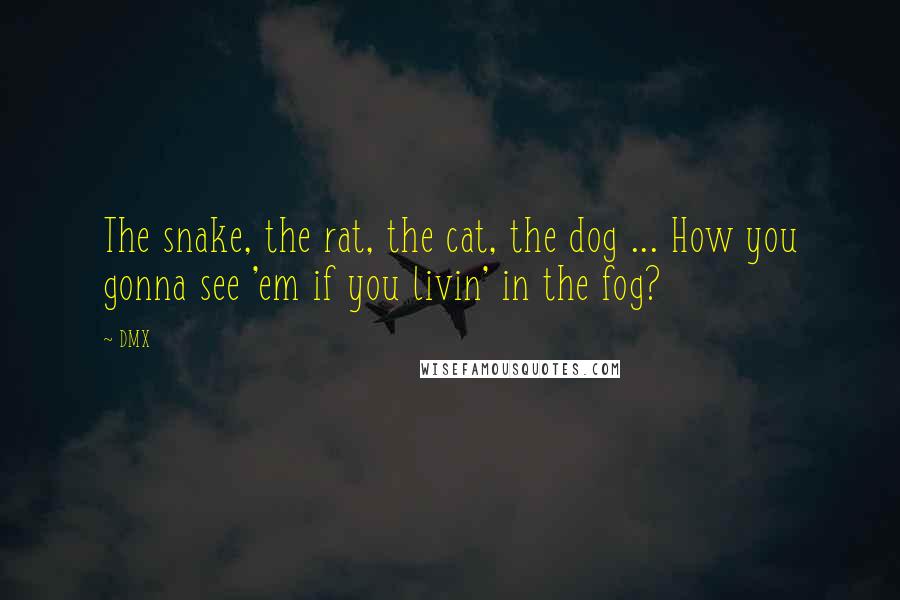 DMX Quotes: The snake, the rat, the cat, the dog ... How you gonna see 'em if you livin' in the fog?