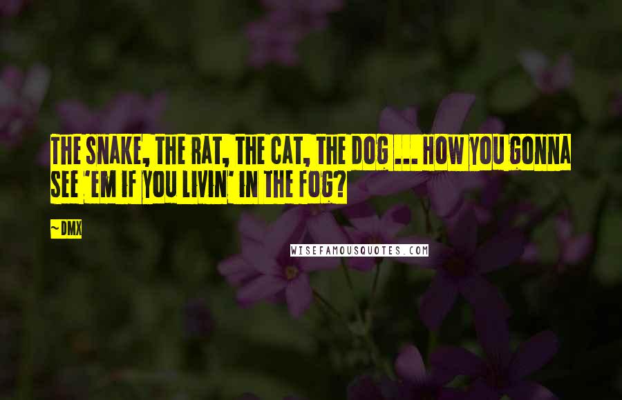 DMX Quotes: The snake, the rat, the cat, the dog ... How you gonna see 'em if you livin' in the fog?