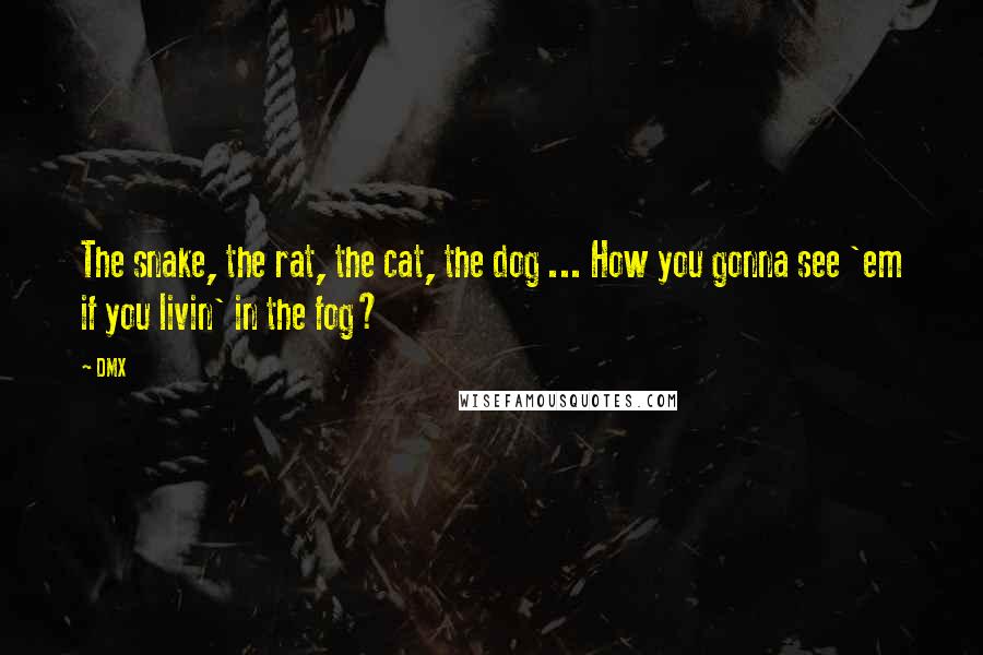 DMX Quotes: The snake, the rat, the cat, the dog ... How you gonna see 'em if you livin' in the fog?