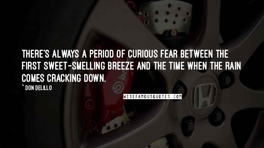 Don DeLillo Quotes: There's always a period of curious fear between the first sweet-smelling breeze and the time when the rain comes cracking down.